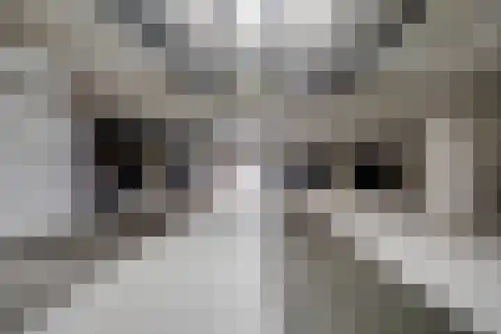 Vrouwjuttenhof 56 Utrecht thumbnail 35