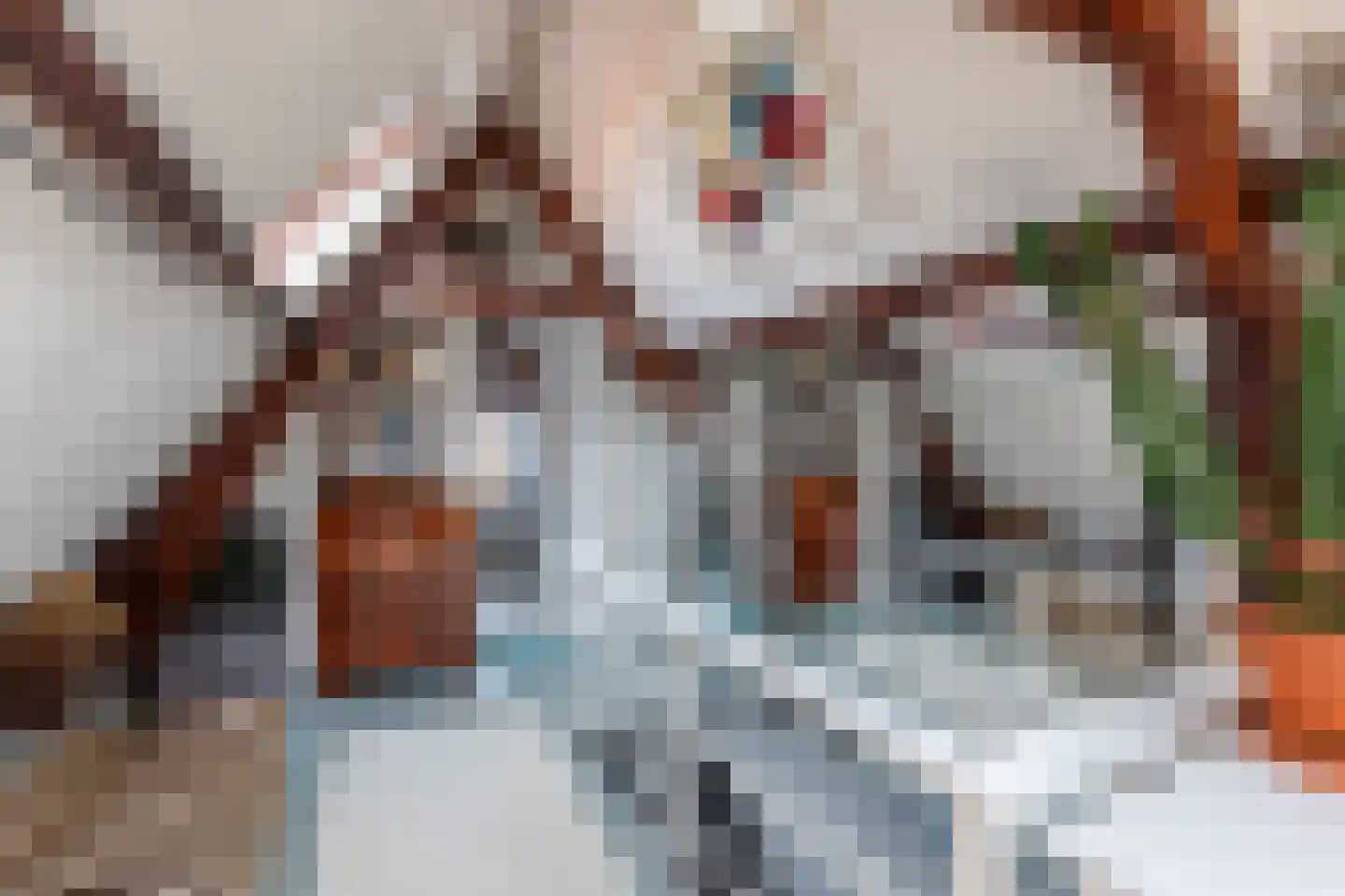 Vrouwjuttenland 14 B Delft thumbnail 15