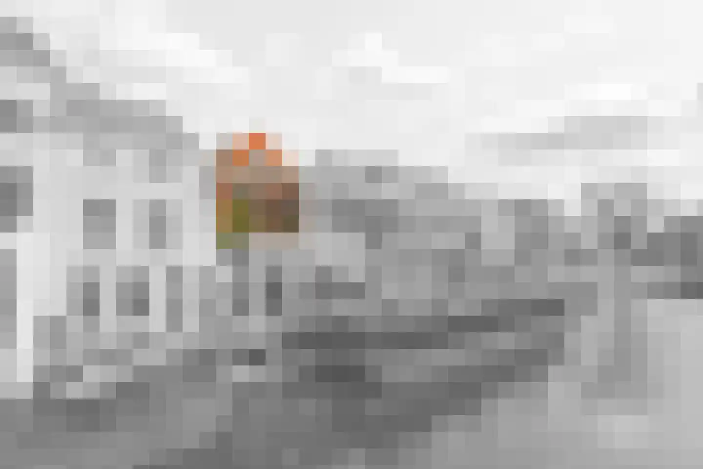 Vrouwjuttenland 14 B Delft foto 2