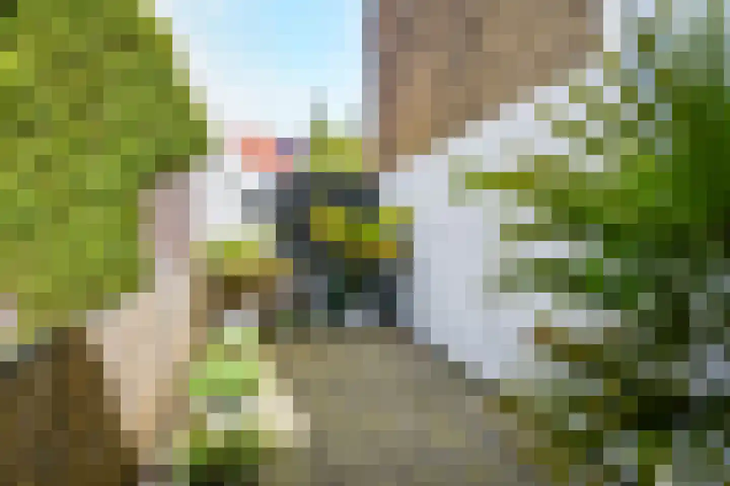 Vrouwjuttenland 16 Delft thumbnail 25