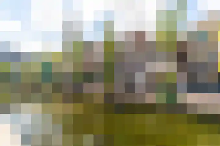 Vrouwjuttenland 35 Delft thumbnail 5