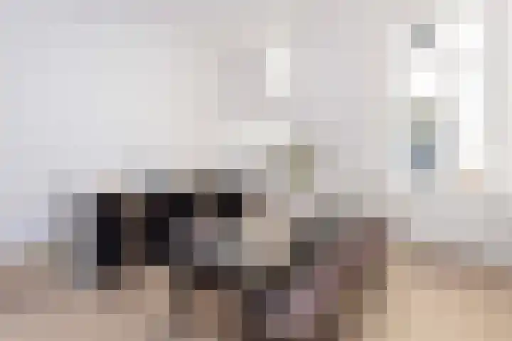 Vrouwjuttenstraat 1 Utrecht thumbnail 5