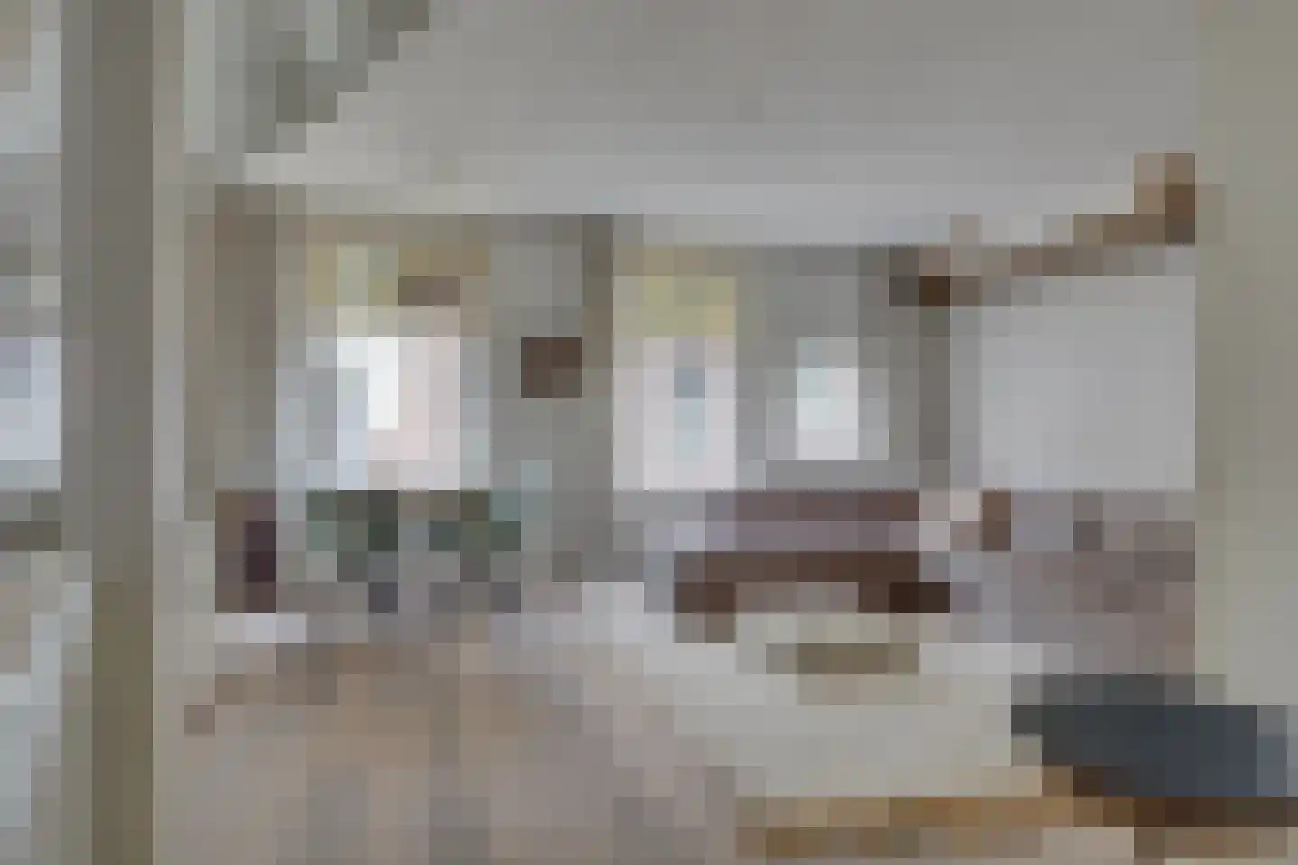 Vrouwjuttenstraat 7 Utrecht thumbnail 12
