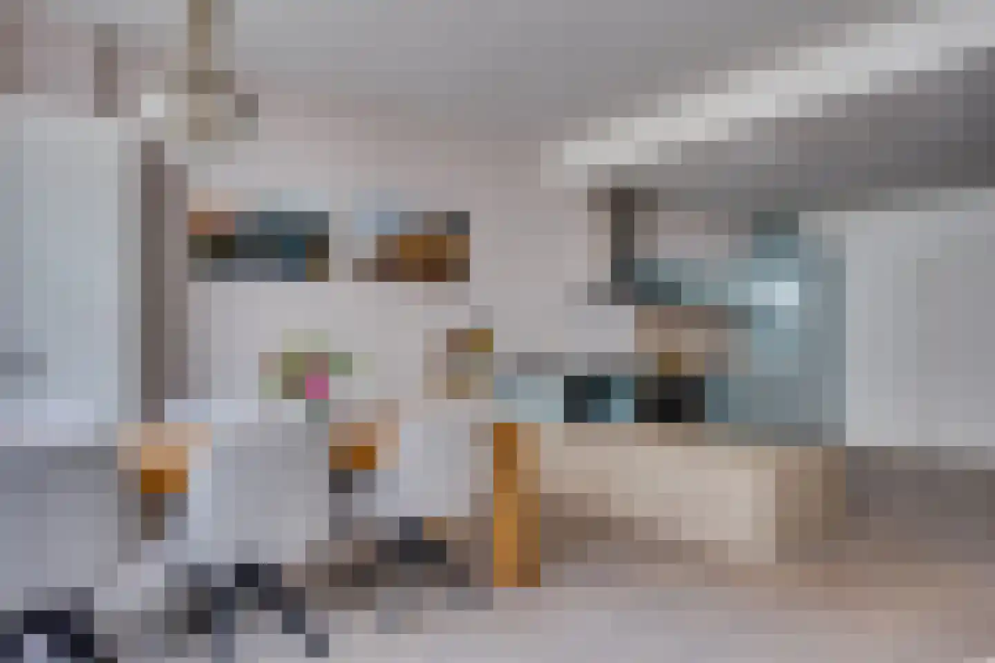 Vrouwjuttenstraat 7 Utrecht thumbnail 13