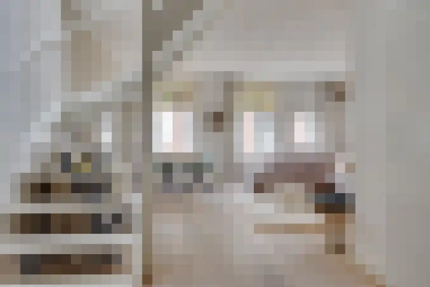 Vrouwjuttenstraat 7 Utrecht thumbnail 15