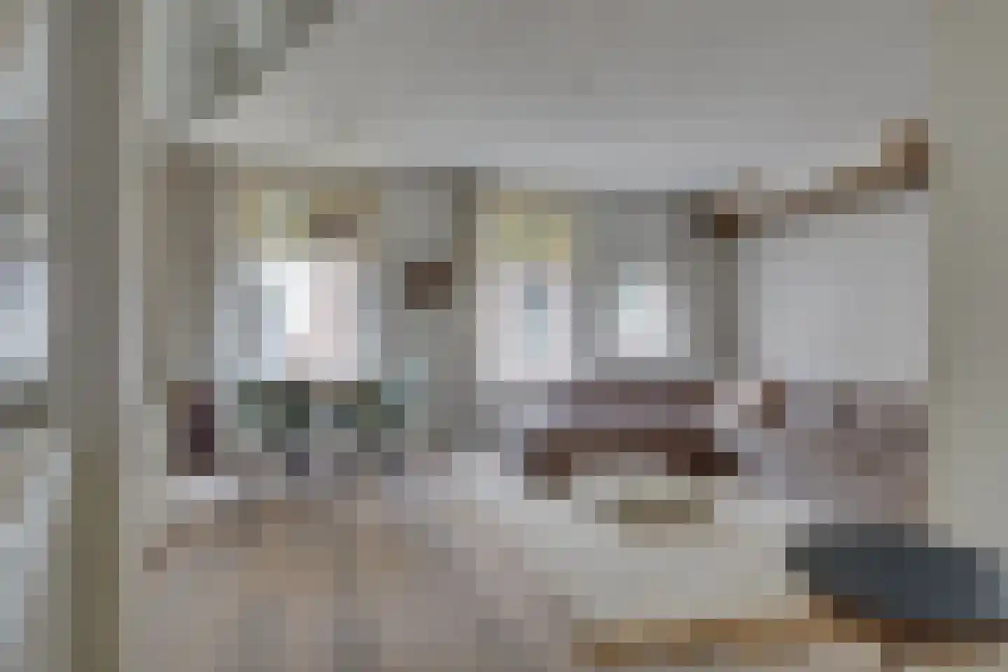 Vrouwjuttenstraat 7 Utrecht thumbnail 16