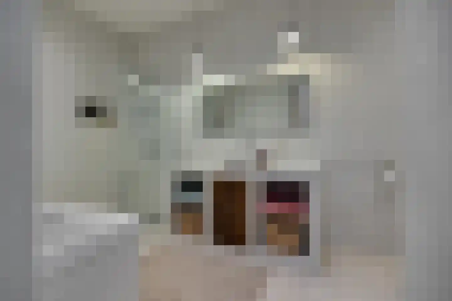 Vrouwjuttenstraat 7 Utrecht thumbnail 20