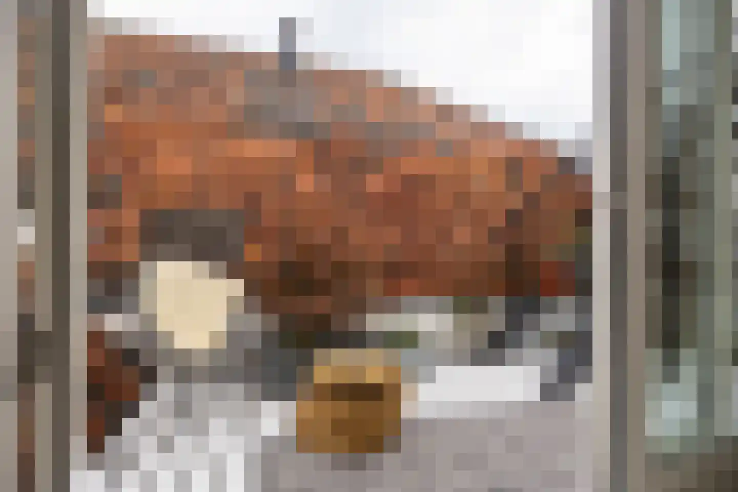 Vrouwjuttenstraat 7 Utrecht thumbnail 23