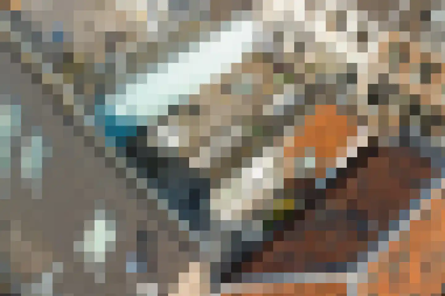 Vrouwjuttenstraat 7 Utrecht thumbnail 38