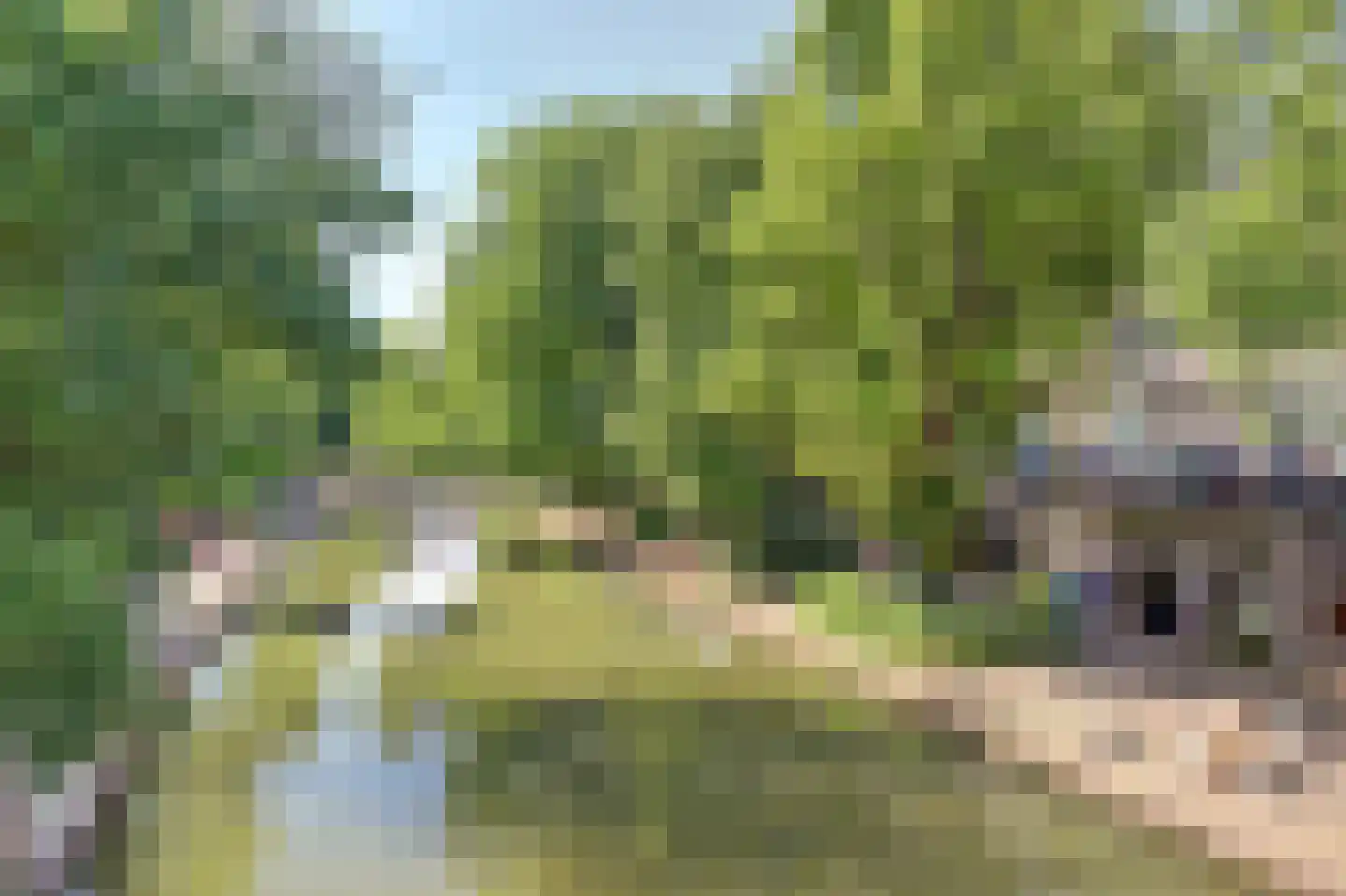 Vrouwjuttenstraat 7 Utrecht thumbnail 41