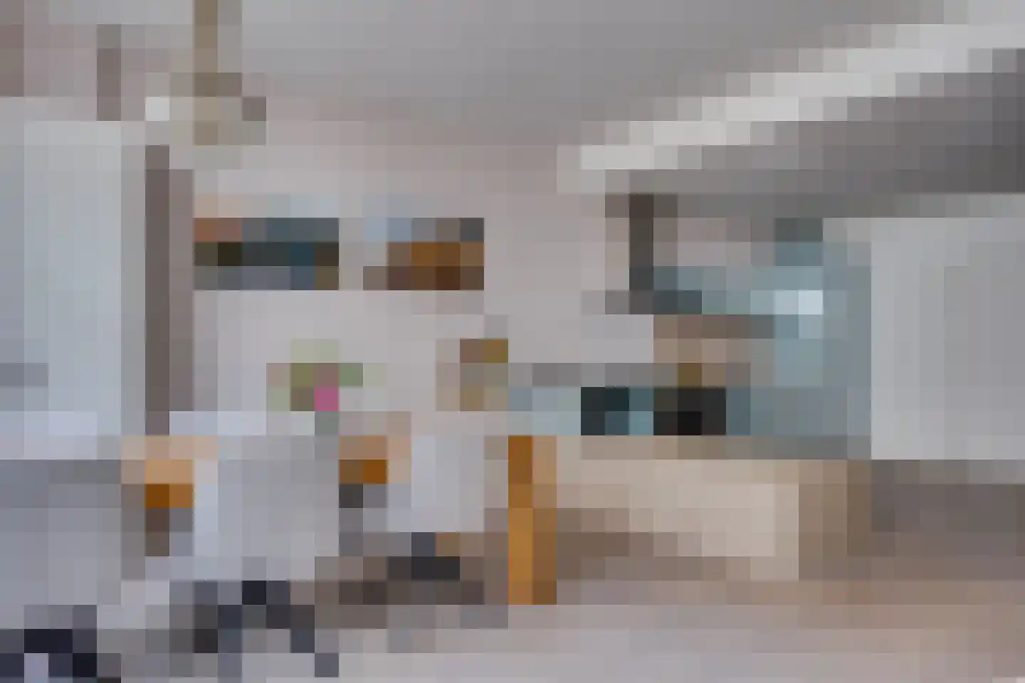 Vrouwjuttenstraat 7 Utrecht thumbnail 7