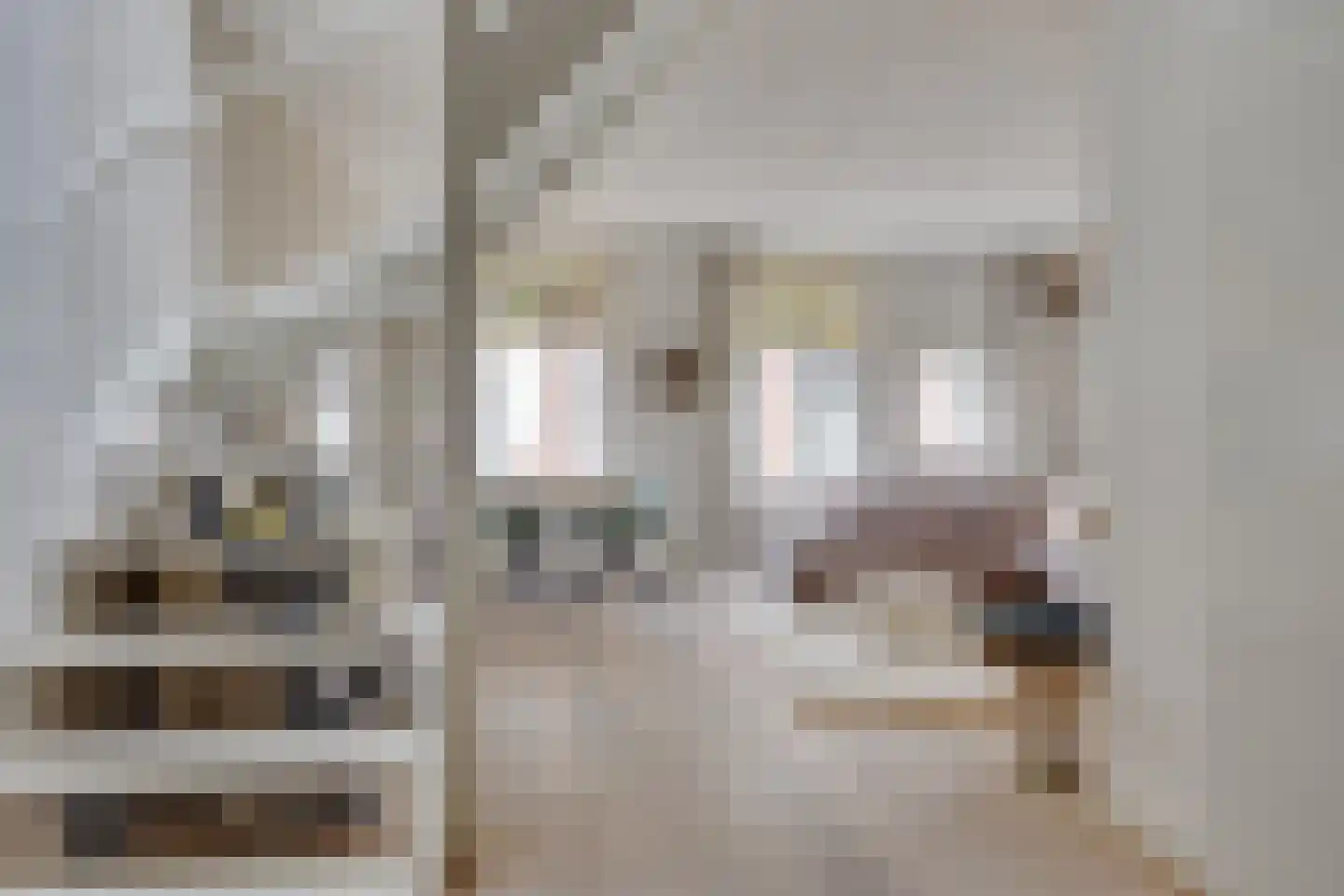 Vrouwjuttenstraat 7 Utrecht thumbnail 9