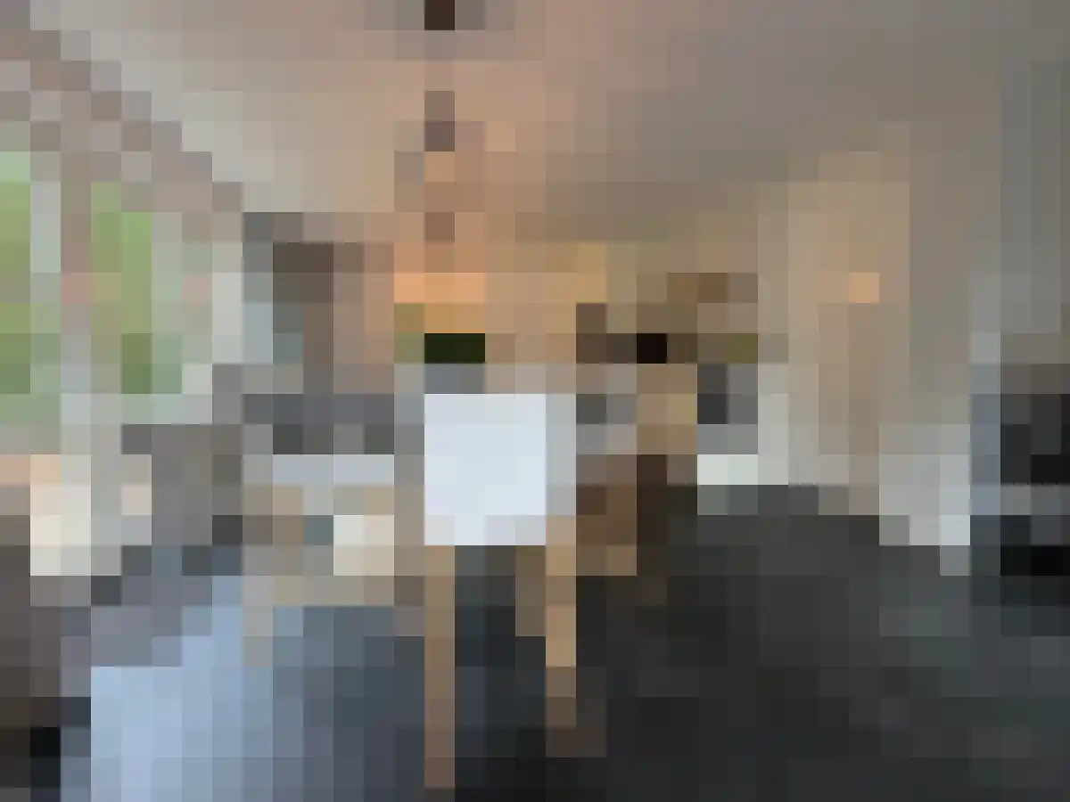 Vrouwkensakker 7 Nuenen thumbnail 5