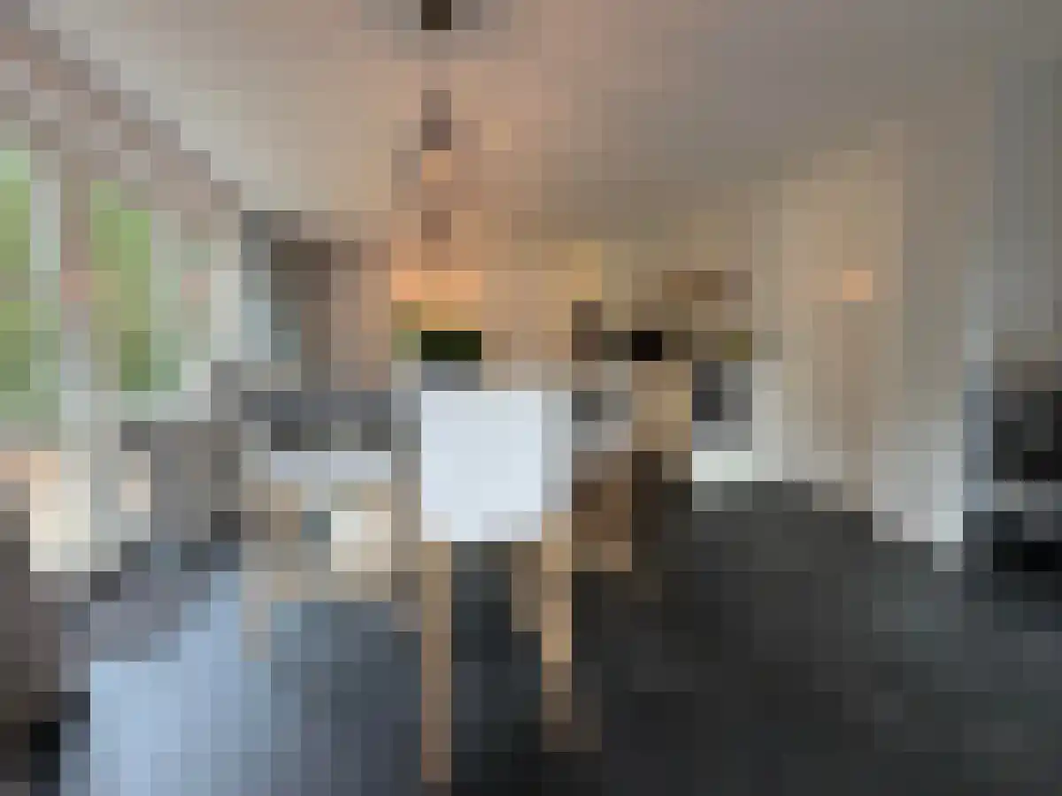Vrouwkensakker 7 Nuenen thumbnail 6