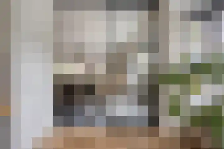 Vrouwkespad 16 Geffen thumbnail 11