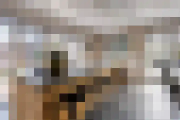 Vrouwkespad 16 Geffen thumbnail 13