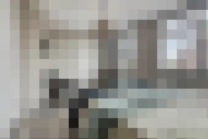 Vrouwkespad 16 Geffen thumbnail 22