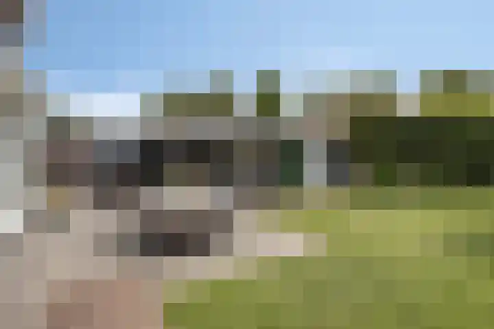 Vrouwkespad 16 Geffen thumbnail 36