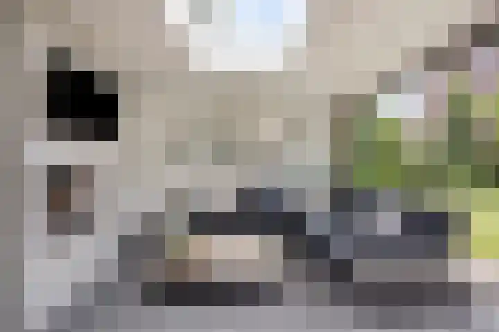 Vrouwkespad 16 Geffen thumbnail 41