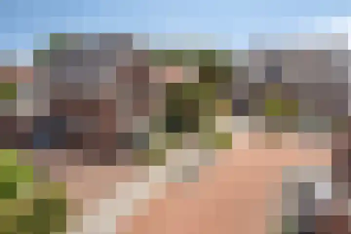 Vrouwkespad 16 Geffen thumbnail 44