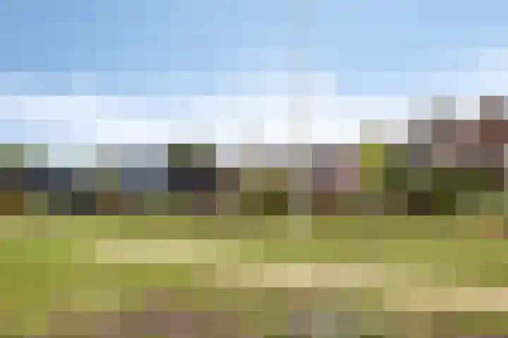Vrouwkespad 16 Geffen thumbnail 50
