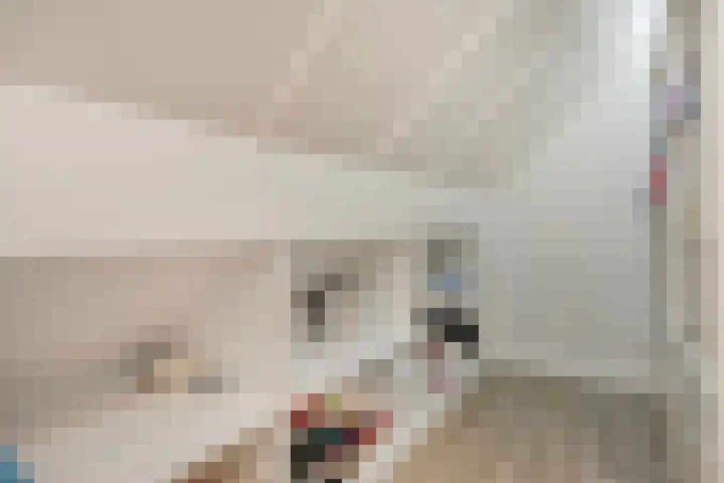 Vrouwkespad 8 Geffen thumbnail 27