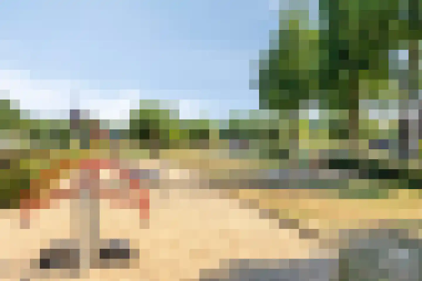Vrouwkespad 8 Geffen thumbnail 34