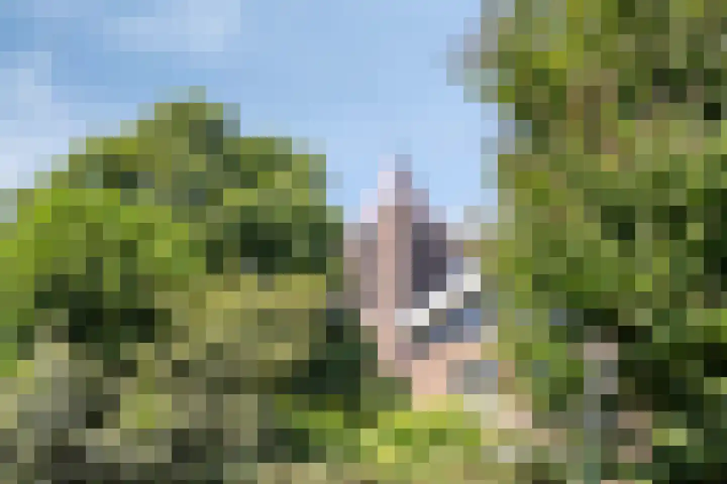 Vrouwkespad 8 Geffen thumbnail 35