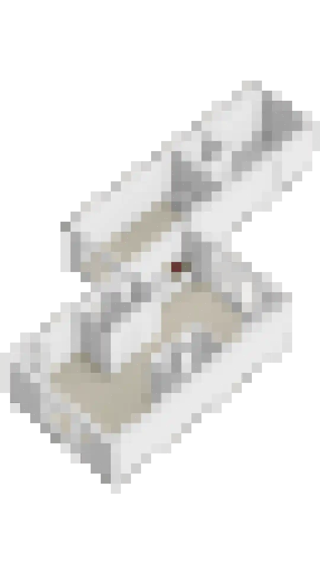 Vrouwkespad 8 Geffen thumbnail 42