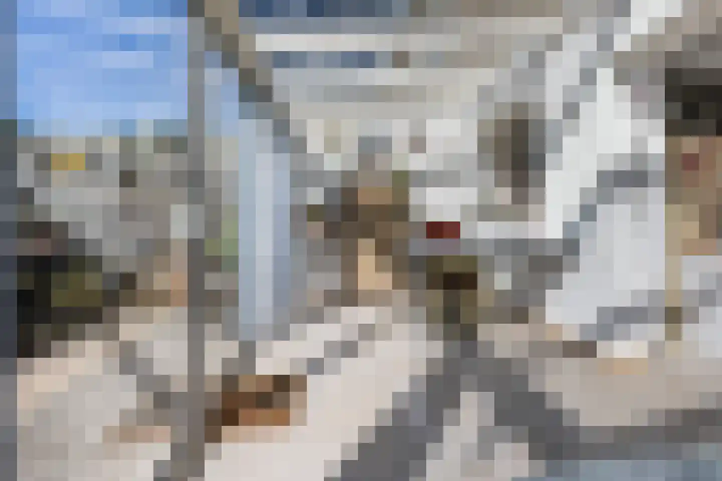 Vrouwtjesweg 43 Stad aan 't Haringvliet thumbnail 13