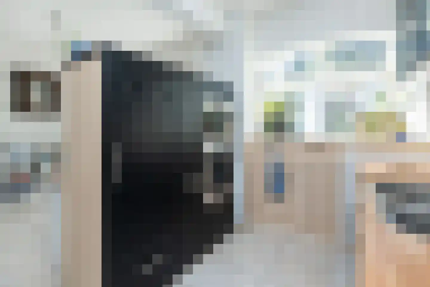 Vrouwtjesweg 43 Stad aan 't Haringvliet thumbnail 15