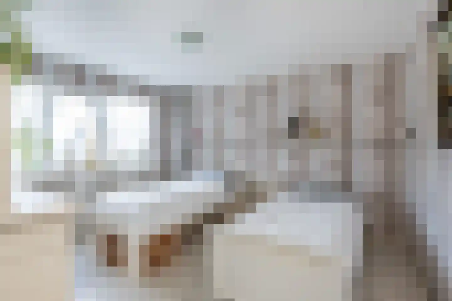 Vrouwtjesweg 43 Stad aan 't Haringvliet thumbnail 21