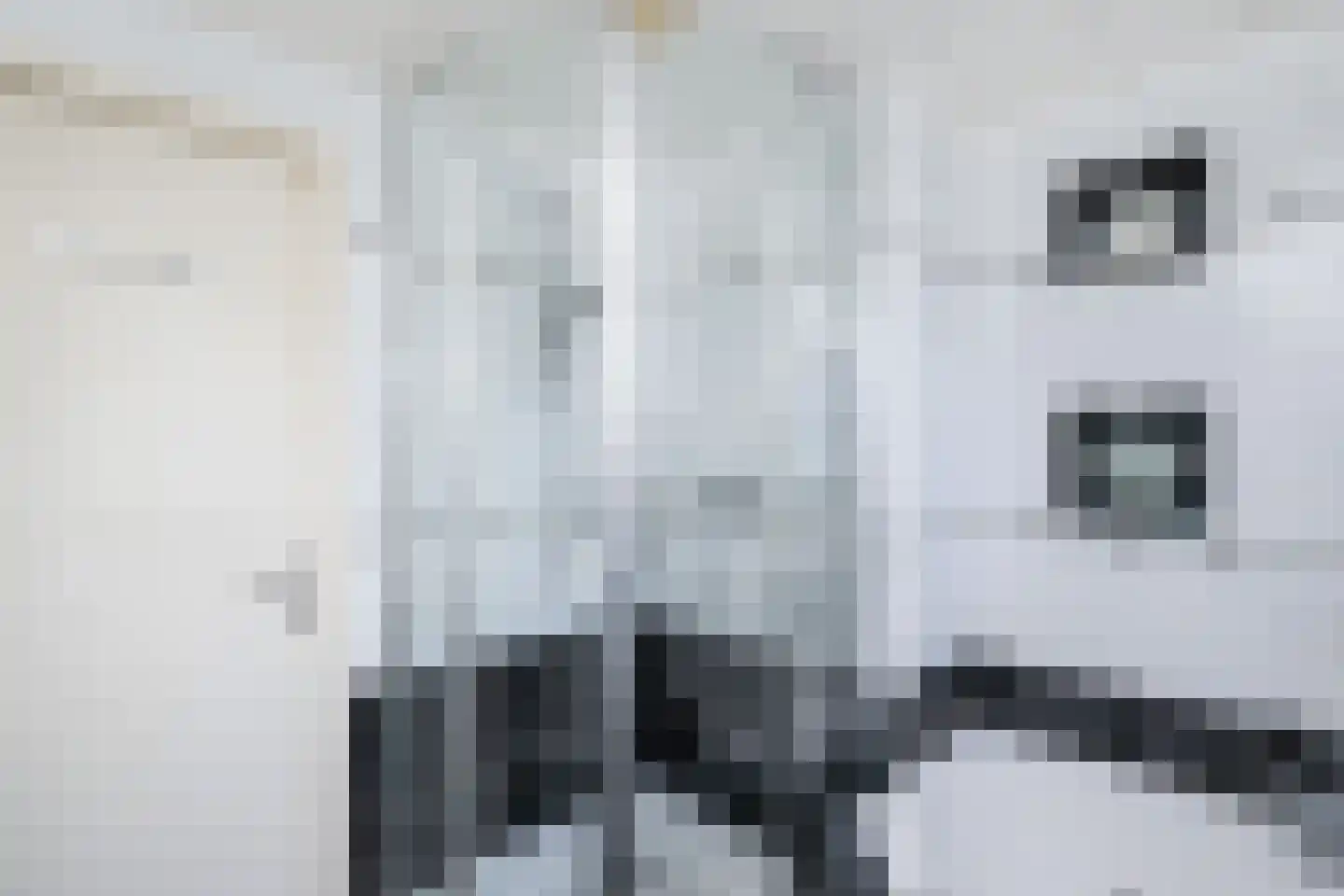 Vrouwtjesweg 43 Stad aan 't Haringvliet thumbnail 24