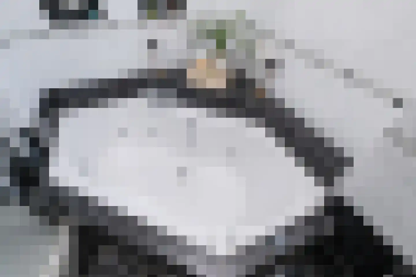 Vrouwtjesweg 43 Stad aan 't Haringvliet thumbnail 25