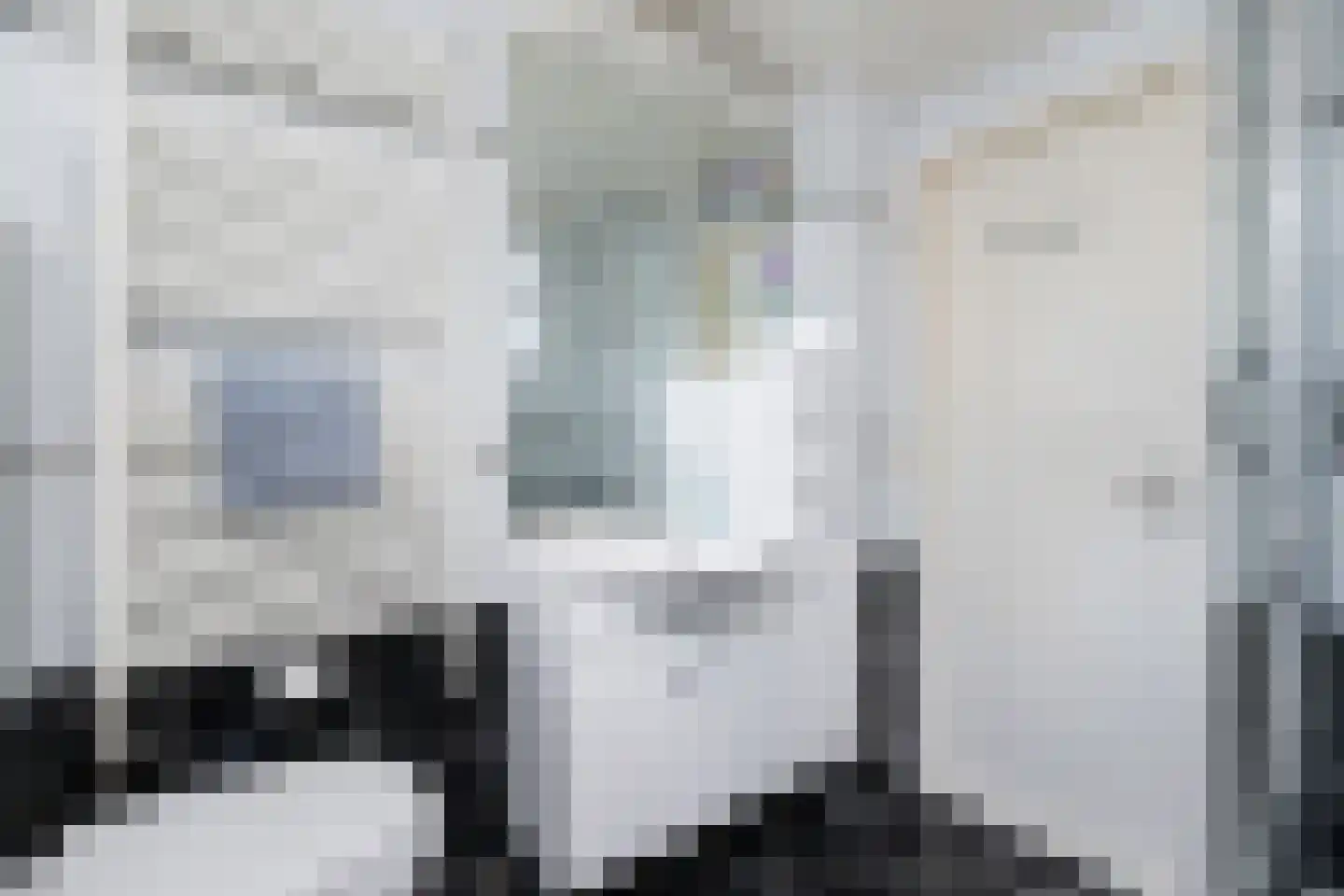 Vrouwtjesweg 43 Stad aan 't Haringvliet thumbnail 26
