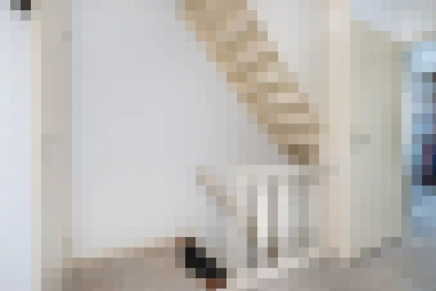 Vrouwtjesweg 43 Stad aan 't Haringvliet thumbnail 27