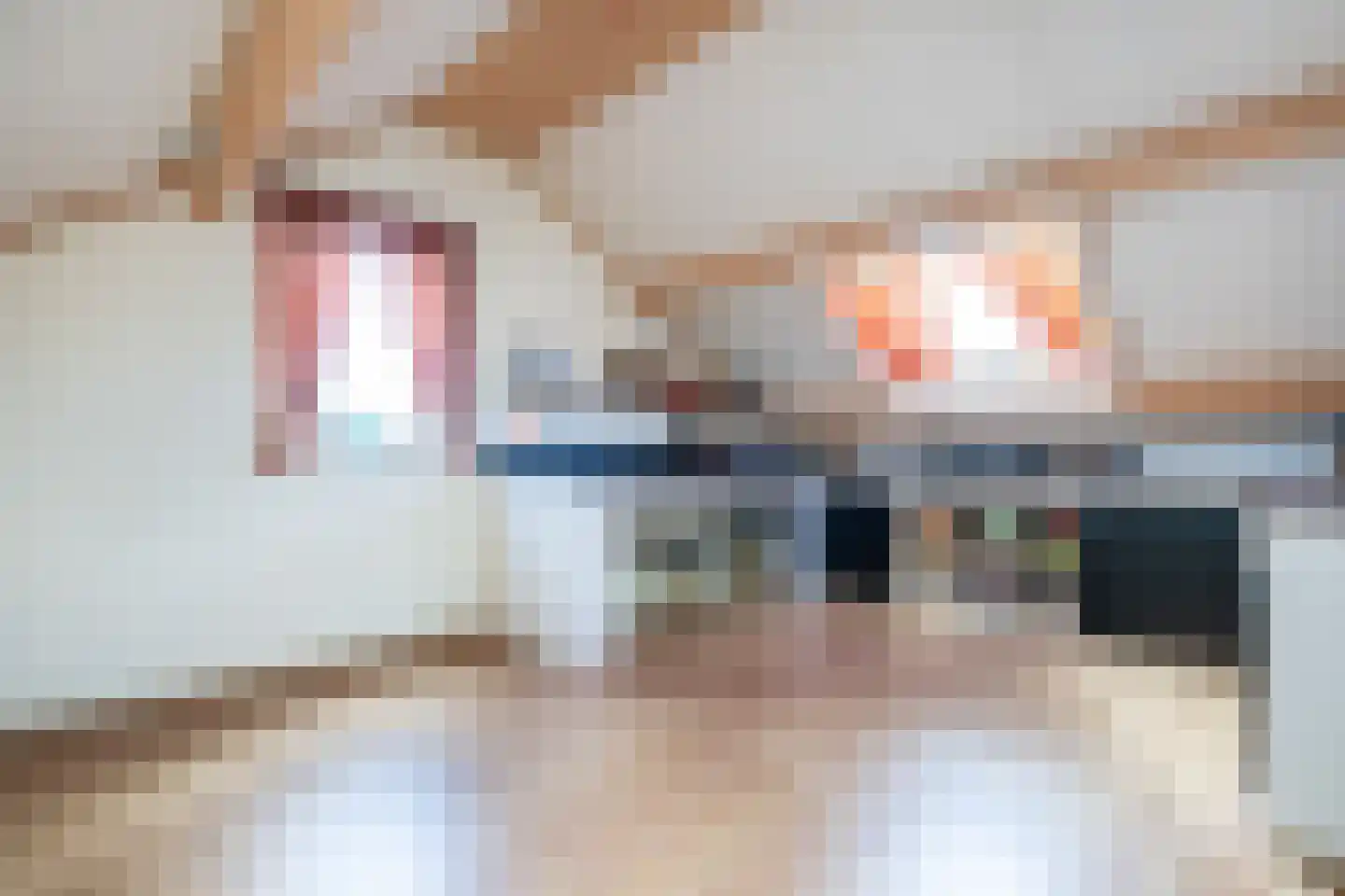 Vrouwtjesweg 43 Stad aan 't Haringvliet thumbnail 28