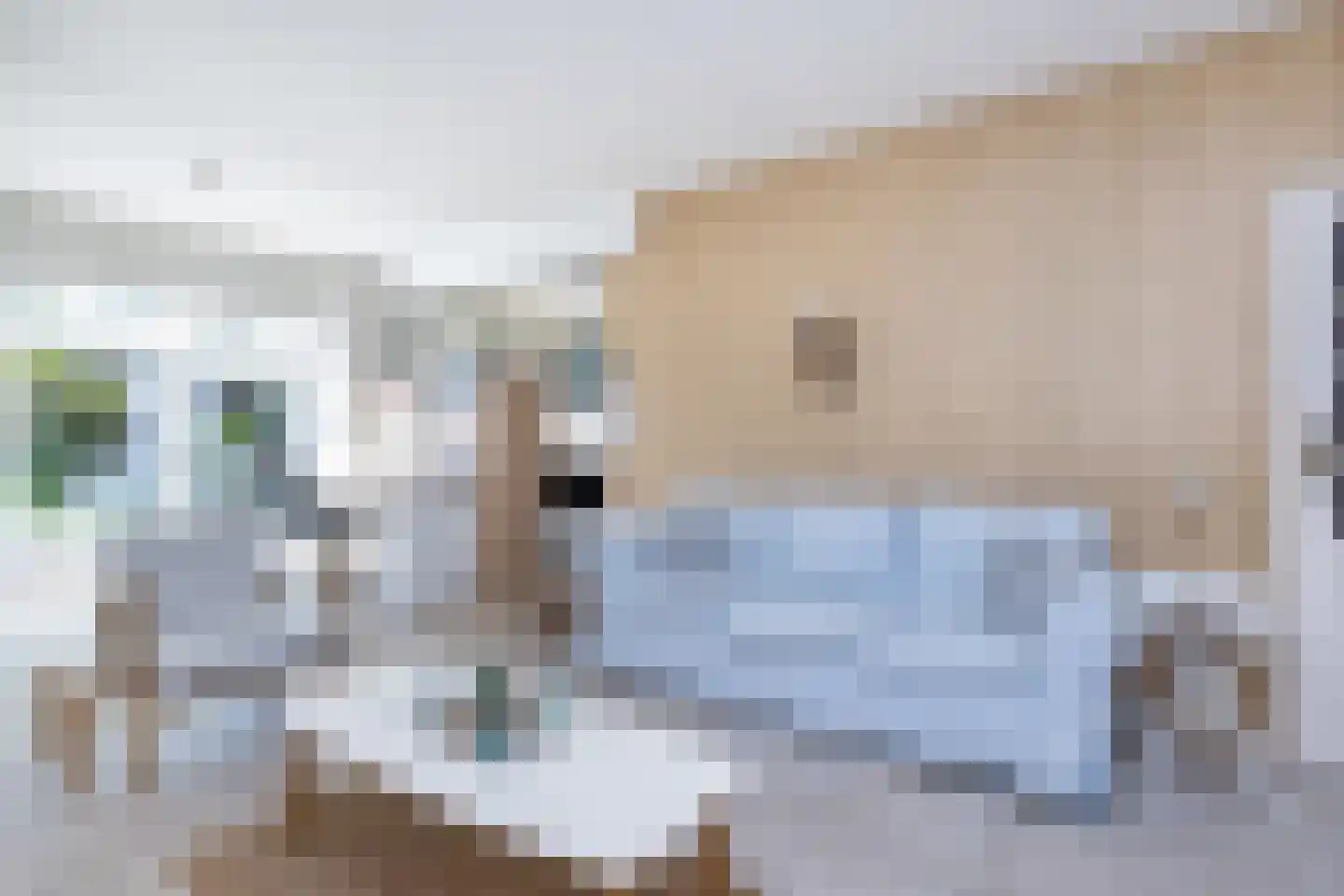 Vrouwtjesweg 43 Stad aan 't Haringvliet thumbnail 4