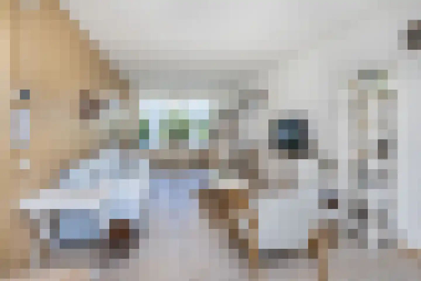 Vrouwtjesweg 43 Stad aan 't Haringvliet thumbnail 7