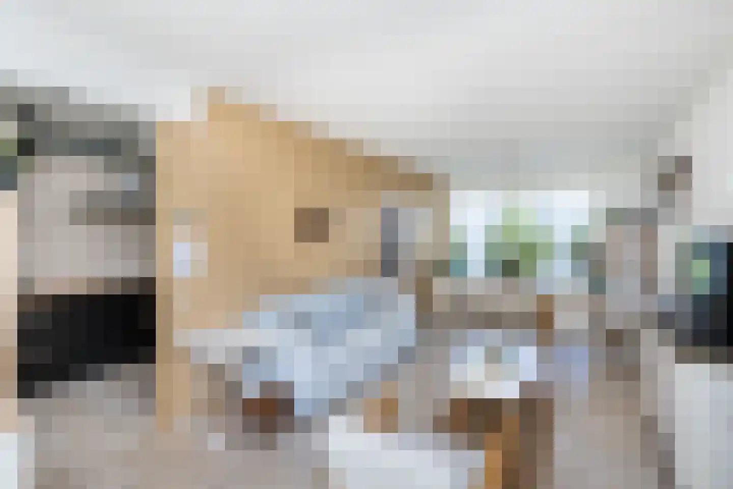 Vrouwtjesweg 43 Stad aan 't Haringvliet thumbnail 8