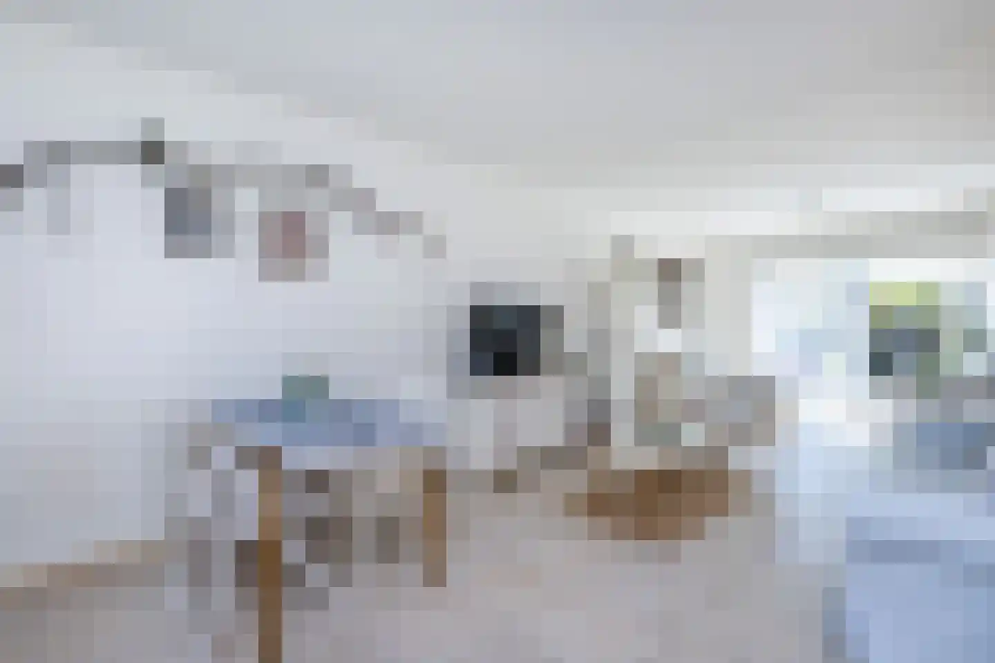 Vrouwtjesweg 43 Stad aan 't Haringvliet thumbnail 9