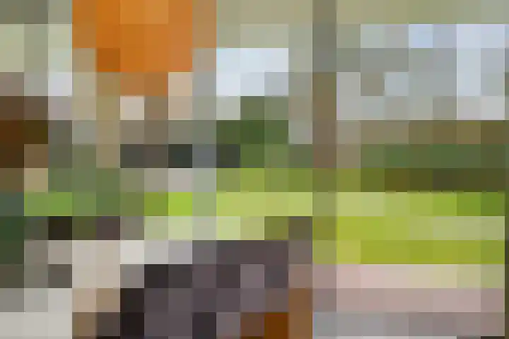 Vrugteveensweg 5 Hellendoorn thumbnail 15