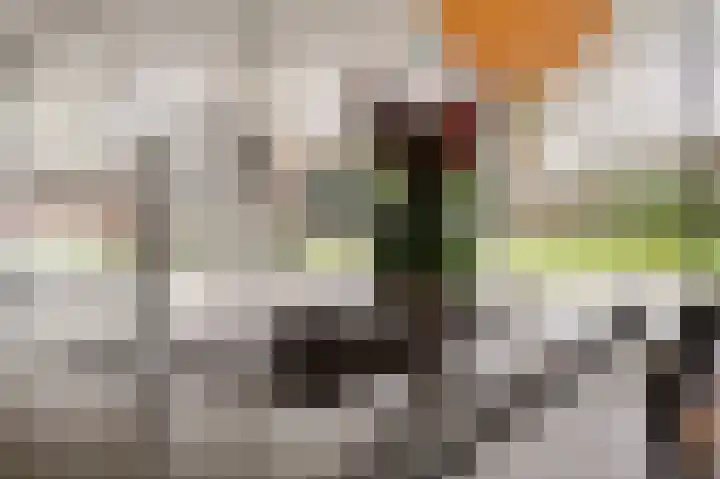 Vrugteveensweg 5 Hellendoorn thumbnail 16