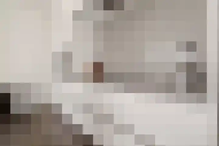 Vrugteveensweg 5 Hellendoorn thumbnail 17