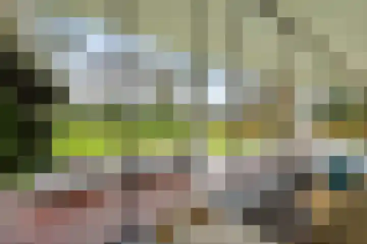 Vrugteveensweg 5 Hellendoorn thumbnail 19