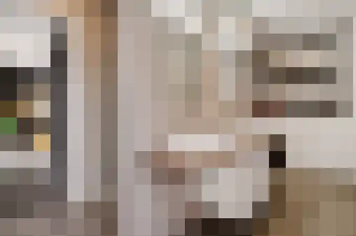 Vrugteveensweg 5 Hellendoorn thumbnail 25