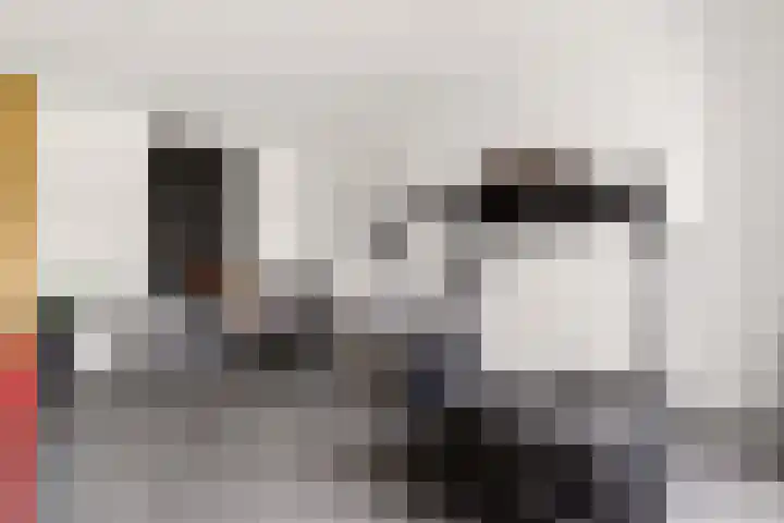 Vrugteveensweg 5 Hellendoorn thumbnail 27