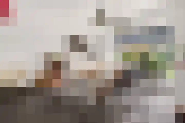 Vrugteveensweg 5 Hellendoorn thumbnail 31