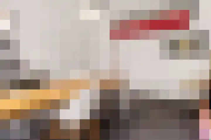Vrugteveensweg 5 Hellendoorn thumbnail 32