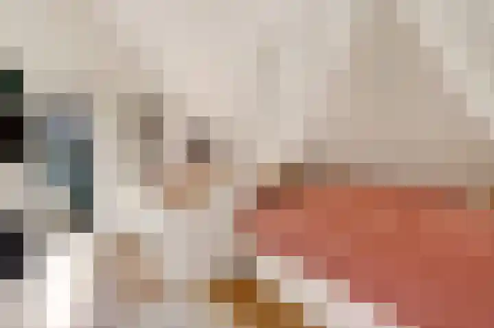 Vrugteveensweg 5 Hellendoorn thumbnail 38